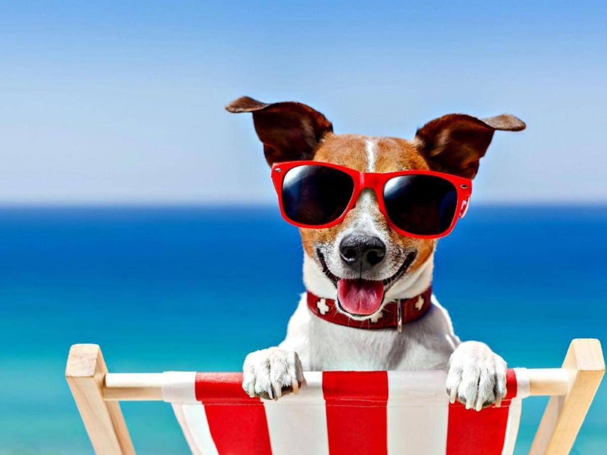 Sunbeach Chalets Γκρέιτ Γιάρμουθ Εξωτερικό φωτογραφία